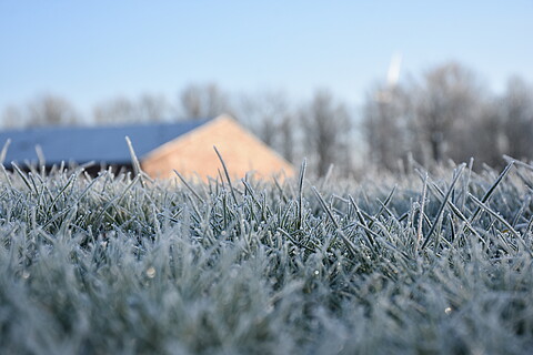 L'hiver à Neuengamme
